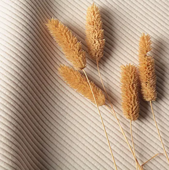 Ribbed Knit Fabric